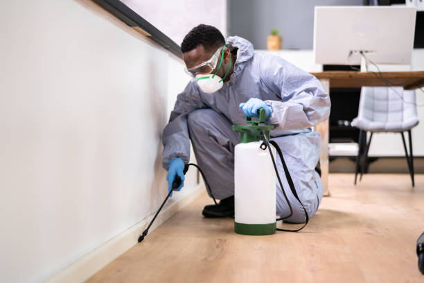 Best Pest Prevention Services  in Hot Springs Village, AR